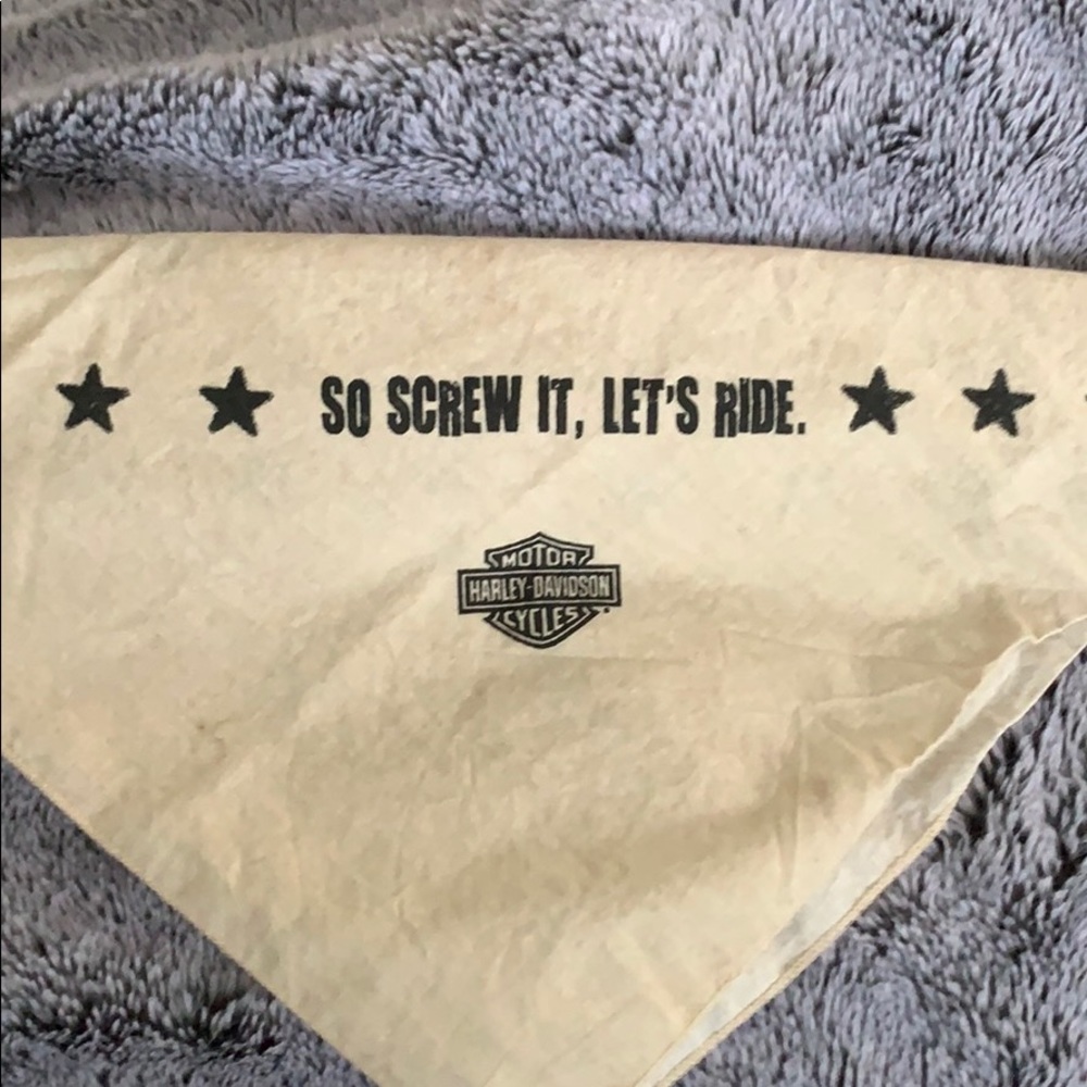 Bandana - Picture 3 of 5